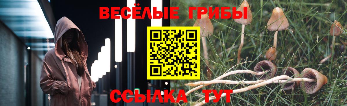 Галлюциногенные грибы GOLDEN TEACHER  Вход с VPN  как найти закладки  Узловая  Псилоцибиновые грибы Psilocybe 