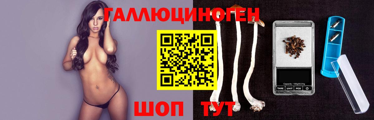 Псилоцибиновые грибы Psilocybine cubensis Узловая
